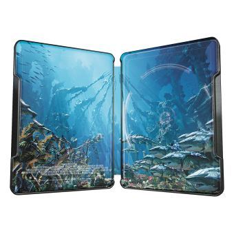 Klicke auf die Grafik für eine vergrößerte Ansicht  Name: Aquaman-Steelbook-Edition-Speciale-Fnac-Blu-ray-4K-Ultra-HD.jpg Ansichten: 1 Größe: 20,8 KB ID: 77568