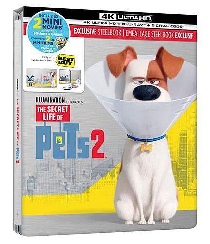 Klicke auf die Grafik für eine vergrößerte Ansicht

Name: pets 1.JPG
Ansichten: 117
Größe: 37,5 KB
ID: 135099