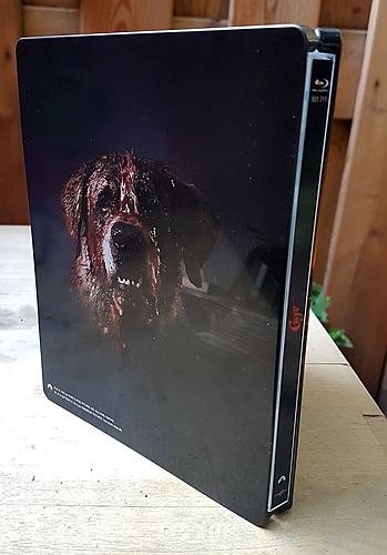 Klicke auf die Grafik für eine vergrößerte Ansicht

Name: Cujo-steelbook-fr-2.jpg
Ansichten: 115
Größe: 154,6 KB
ID: 148918