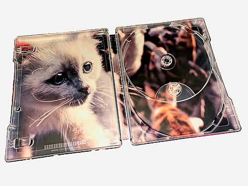 Klicke auf die Grafik für eine vergrößerte Ansicht

Name: fotografias-del-steelbook-de-the-marvels-en-uhd-4k-y-blu-ray-original (13).jpg
Ansichten: 55
Größe: 185,4 KB
ID: 410109